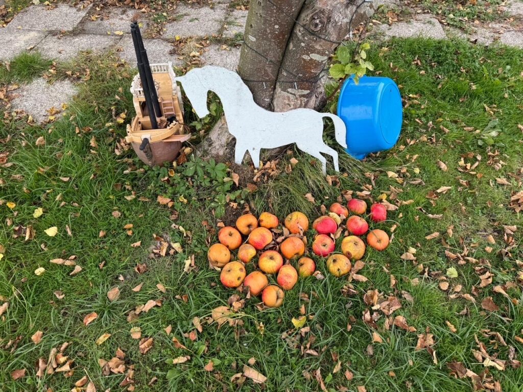 Ein Ort zum Äpfel ernten und zum spielen.